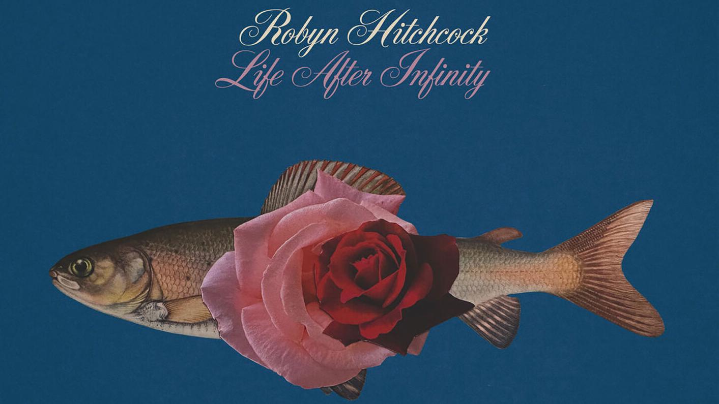 Robyn Hitchcock, 'Life After Infinity'